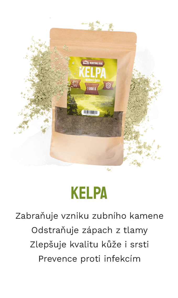 mořské řasy pro psy